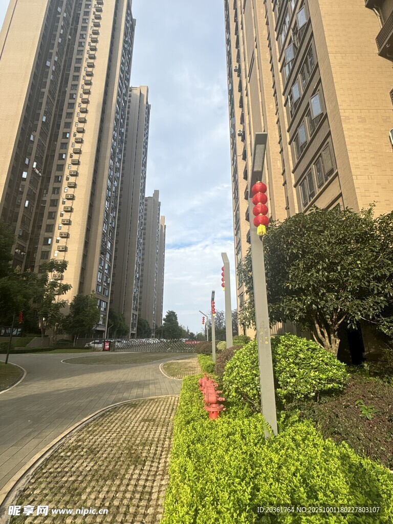城市街道旁的高楼与绿植