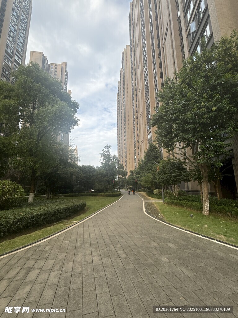 城市中的静谧林荫步道