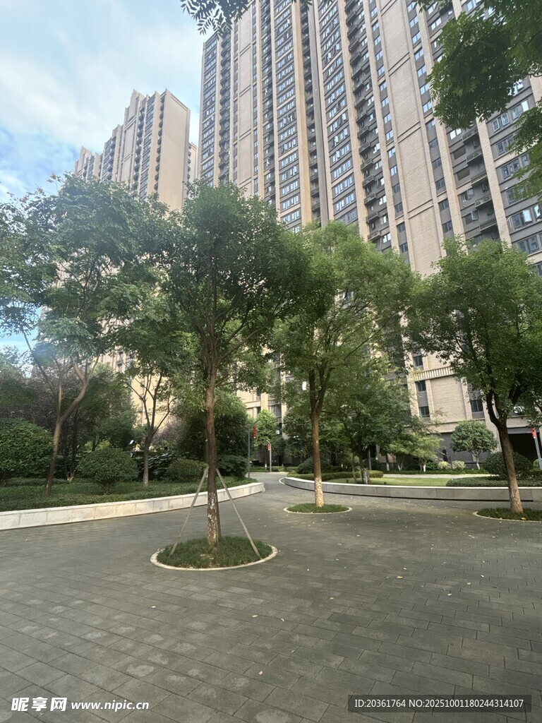 小区内绿树与高楼景观