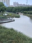 城市河畔风景