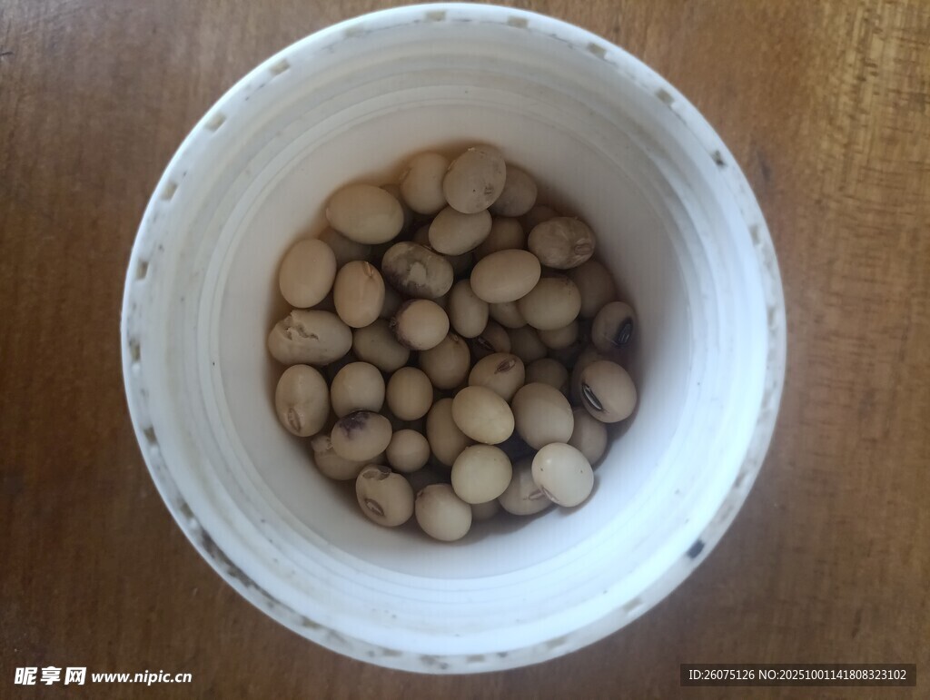 白色容器中的褐色豆子