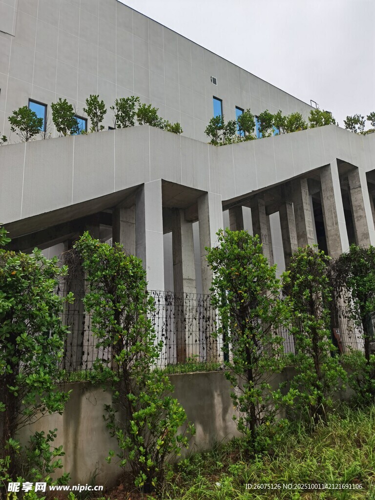 绿植装点的建筑外立面