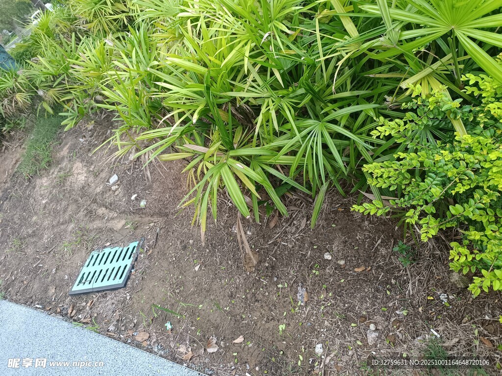 绿植旁的标识牌