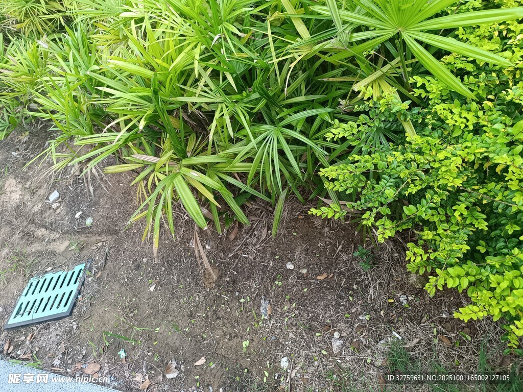 绿植景观中的标识牌