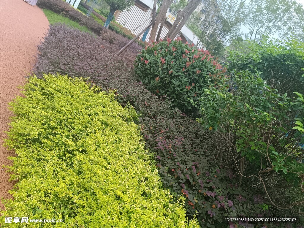 园林绿植景观一角