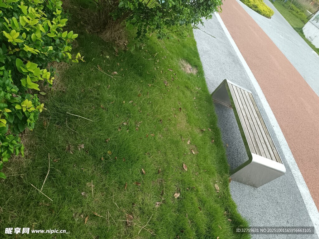 路边长椅旁的绿意景致