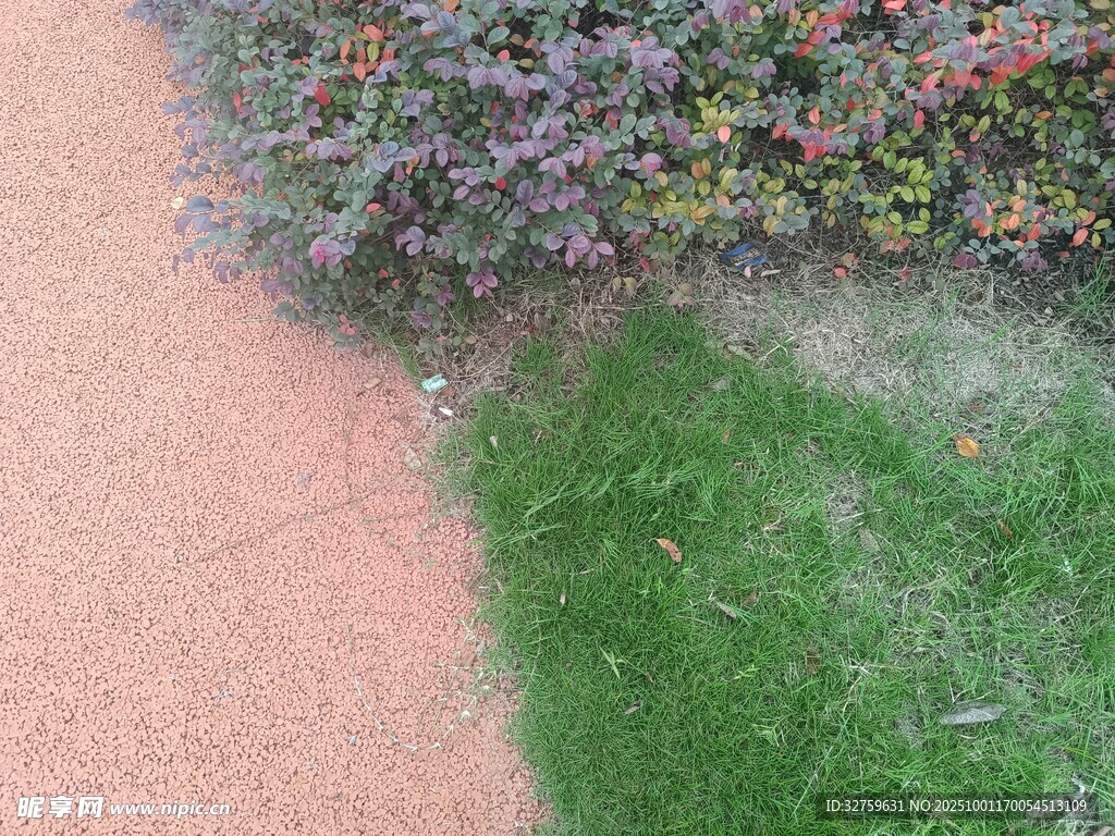 花园角落的绿植与沙地
