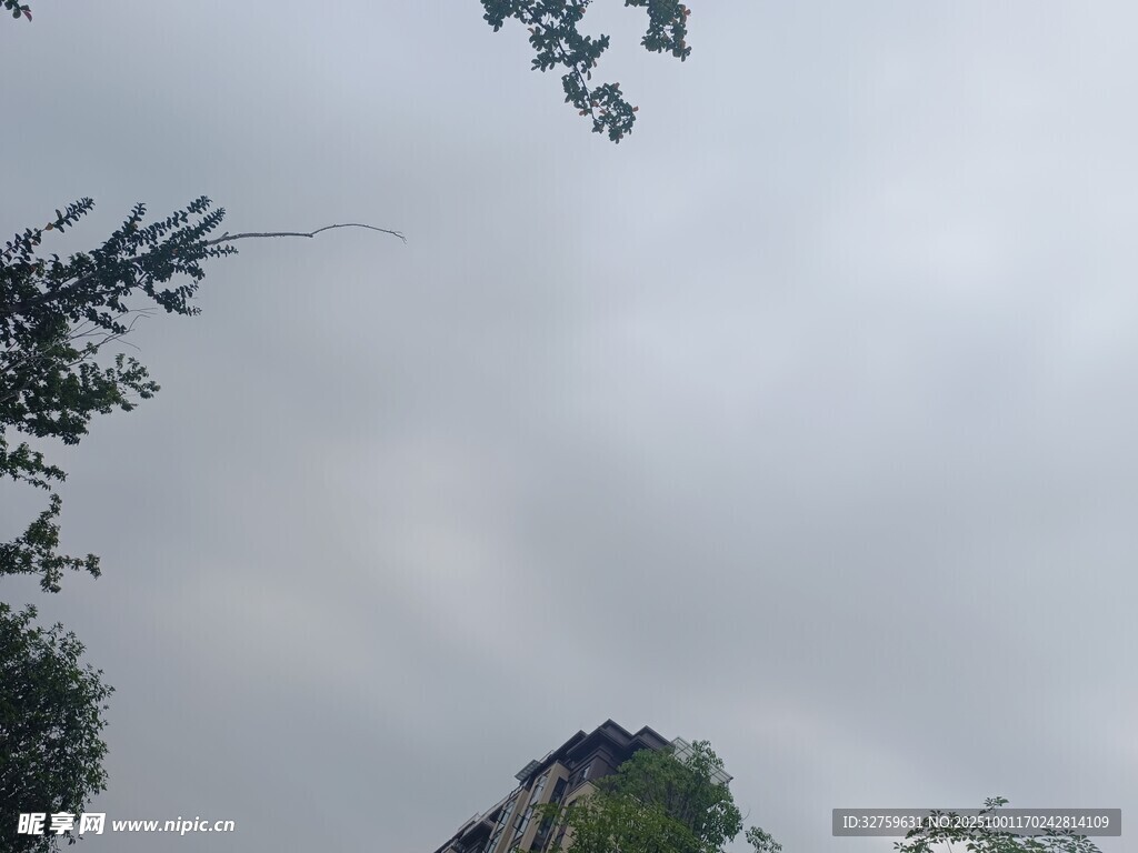 阴天中的树木与建筑