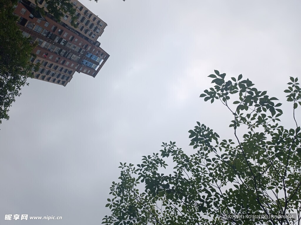 仰视高楼与绿树