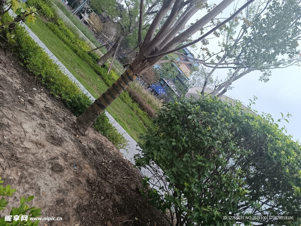 户外绿植景观