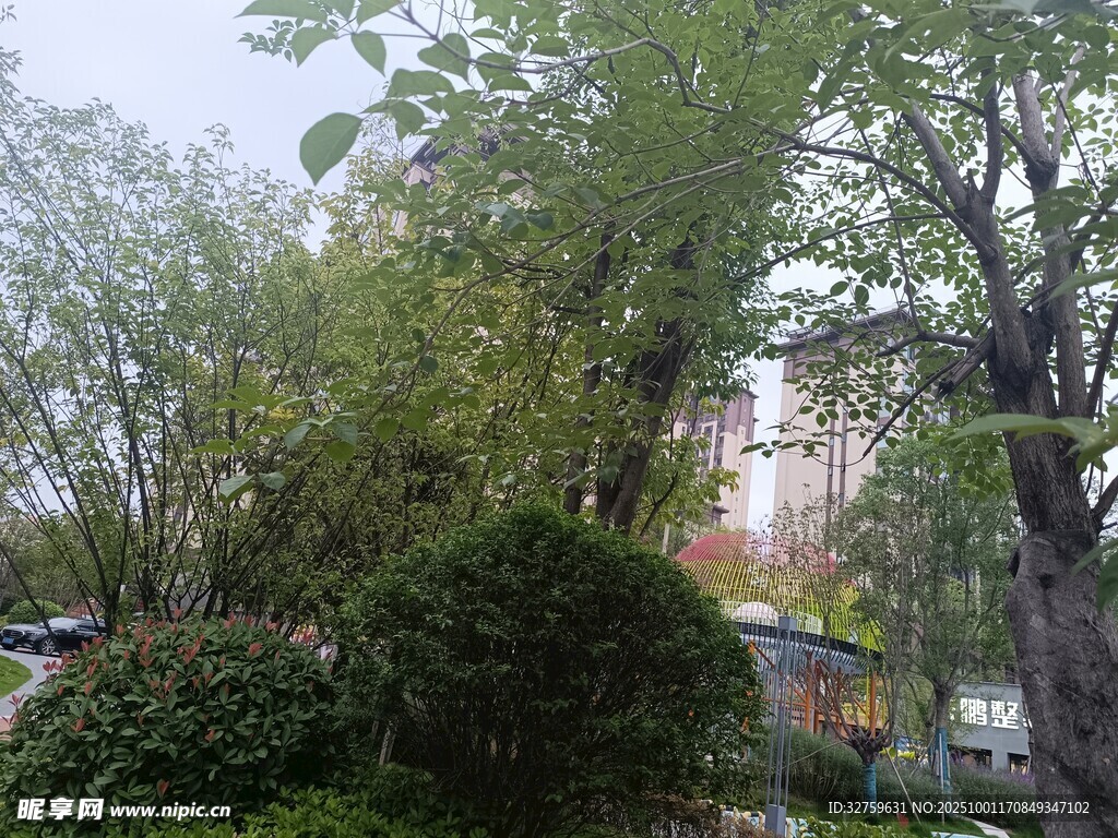 城市中的葱郁绿植景观