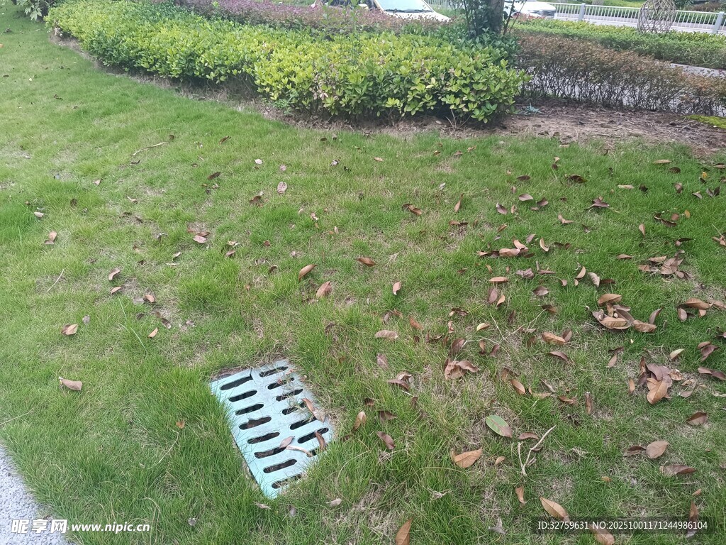 草地上的金属排水格栅