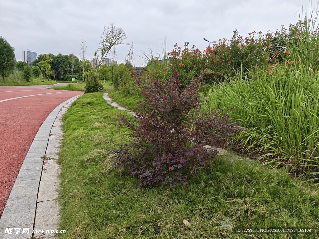 城郊彩色步道旁绿植景观