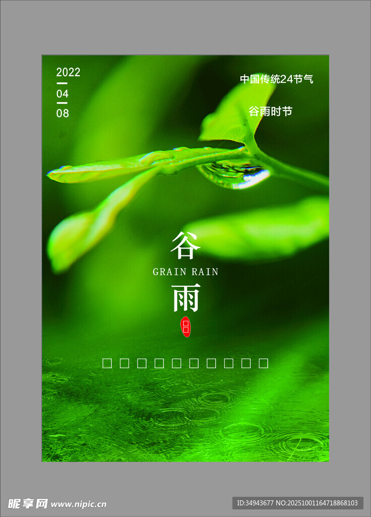 清新绿叶上的晶莹金露