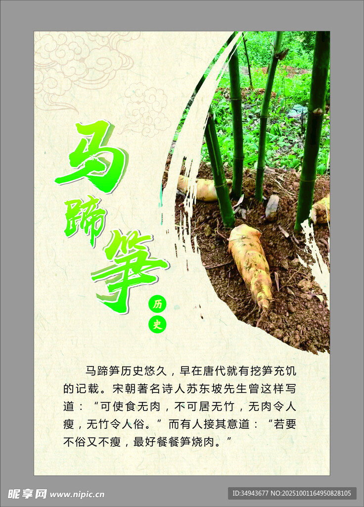 马的季节海报展示