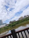 河畔城市风光