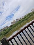 河畔栏杆外的城市风景