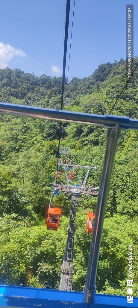 缆车穿行于翠绿山林间