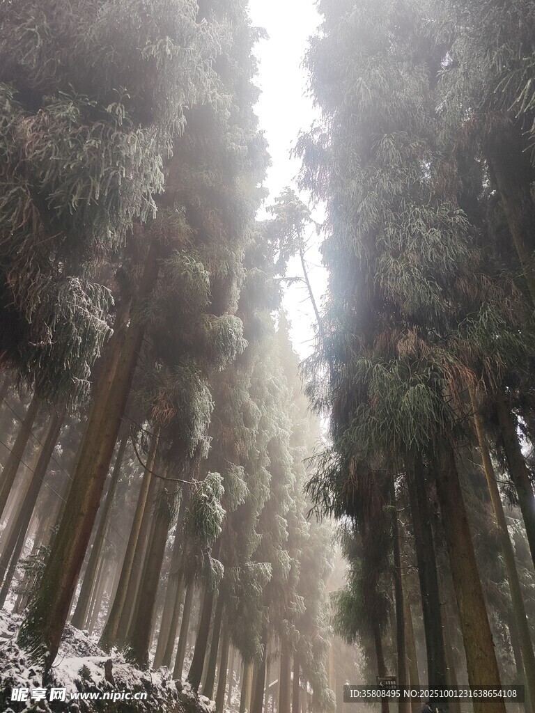 旅途的风景