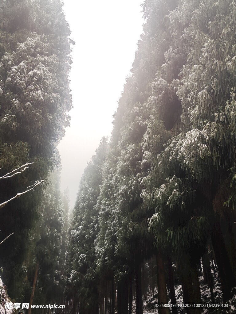 旅途的风景