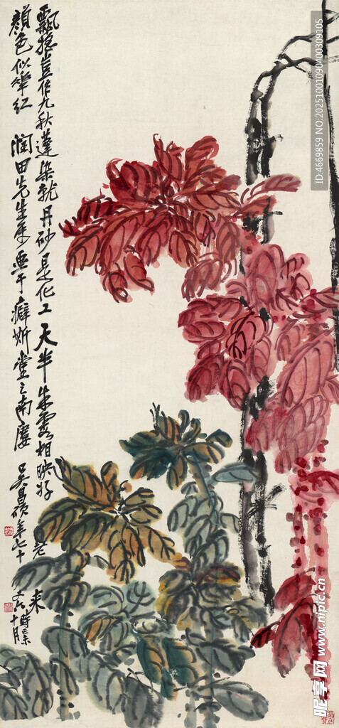 中式花卉国画