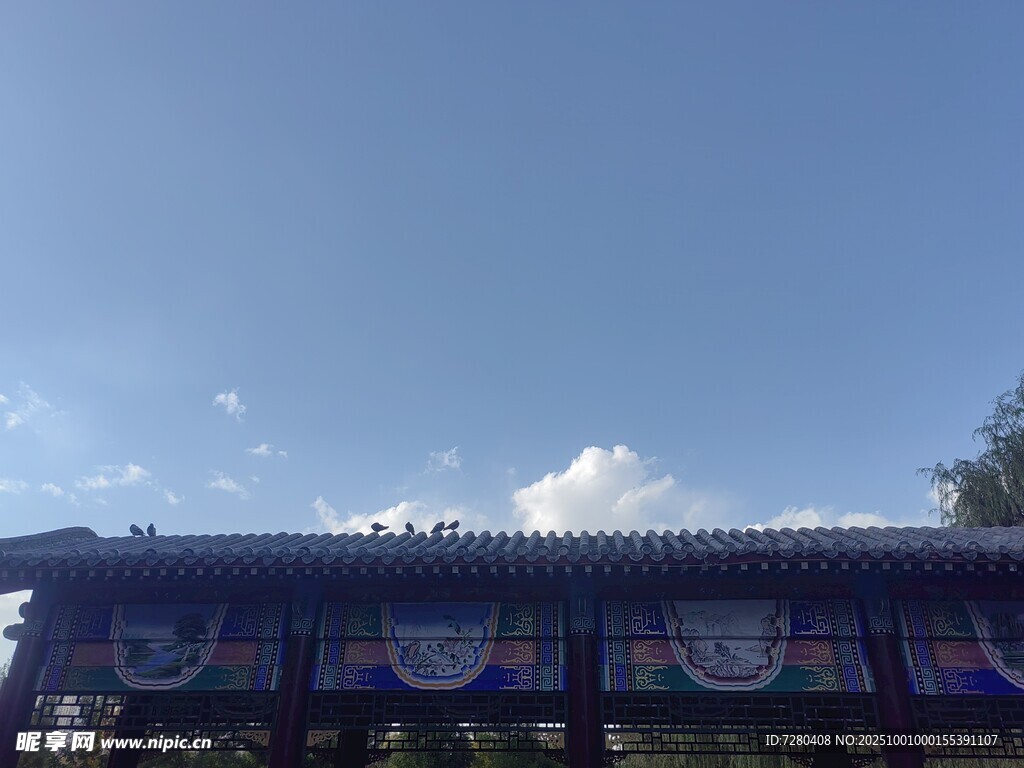 蓝天映衬下的中式建筑