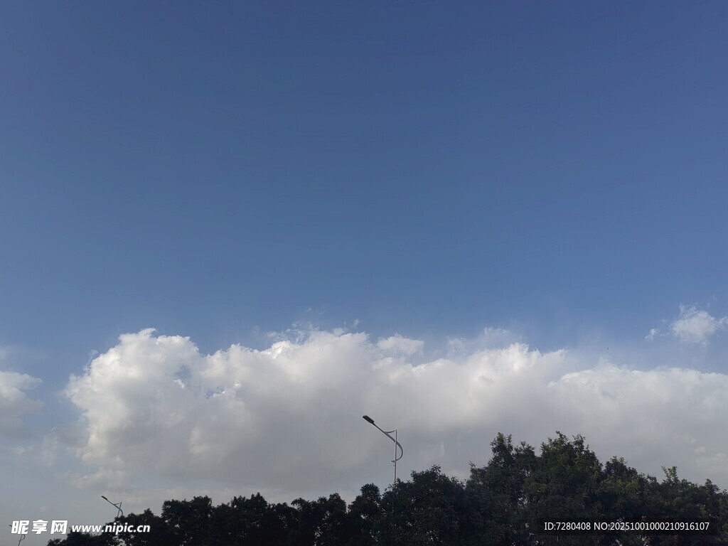 蓝天之上飞鸟伴云景