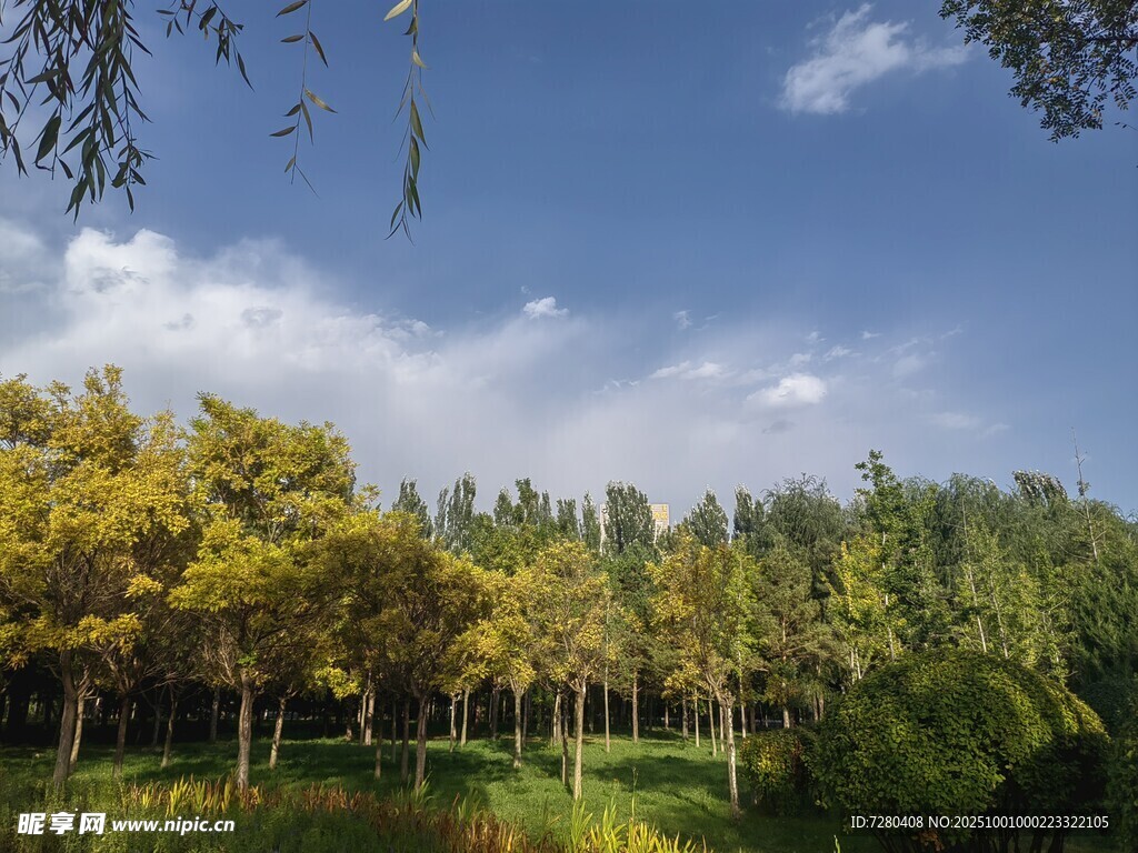秋日林间美景