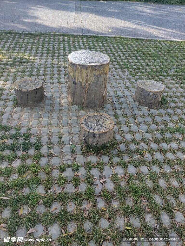 户外草地树桩景观