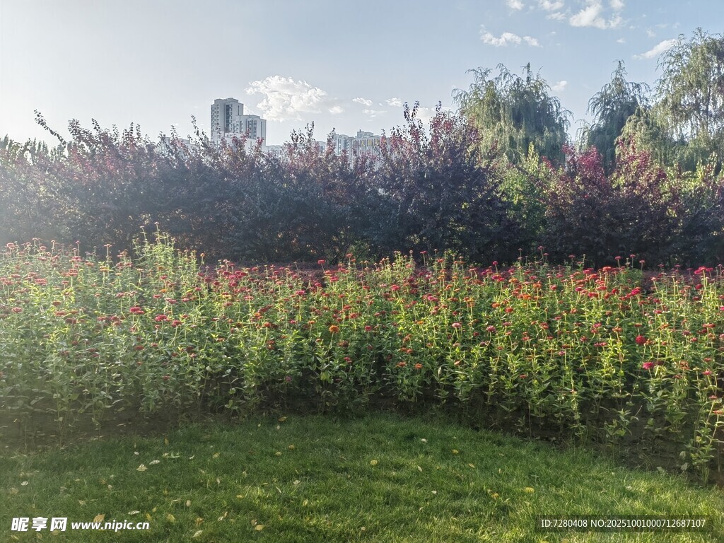 多彩植物景观绿意盎然
