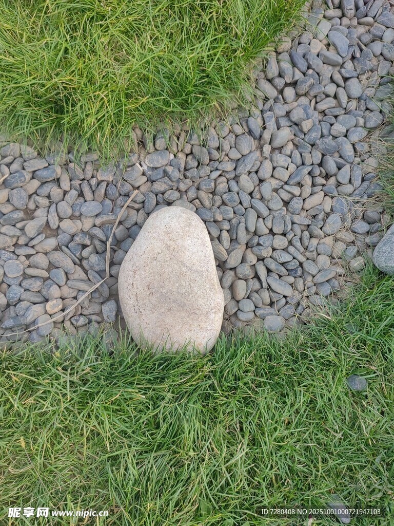草地上的孤石