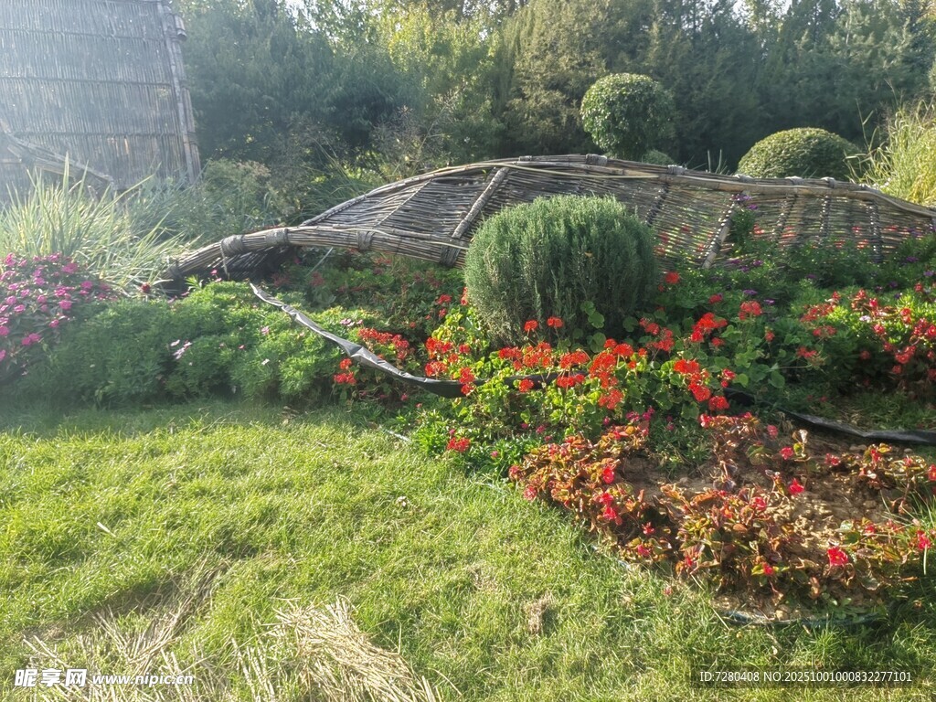美丽庭院绿植花卉景观