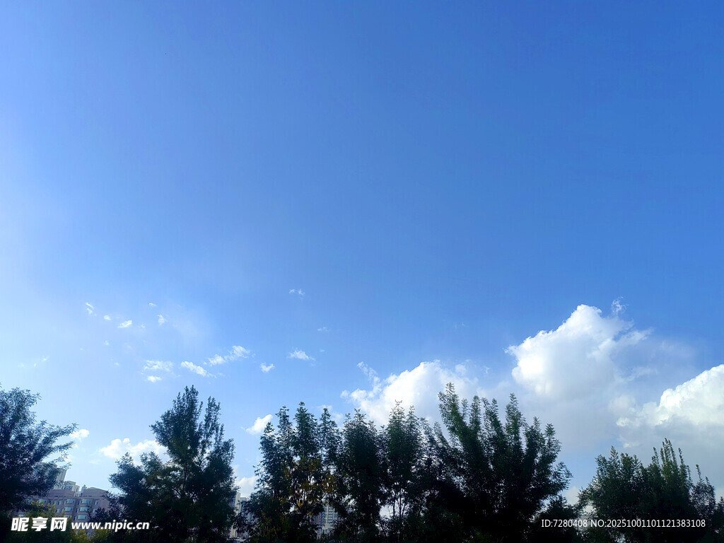 蓝天绿树间的晴朗景致