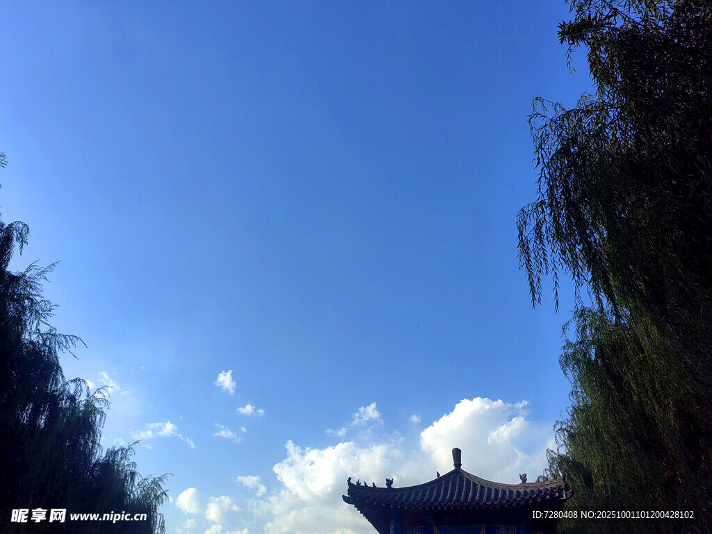 蓝天古建旁的葱郁树木