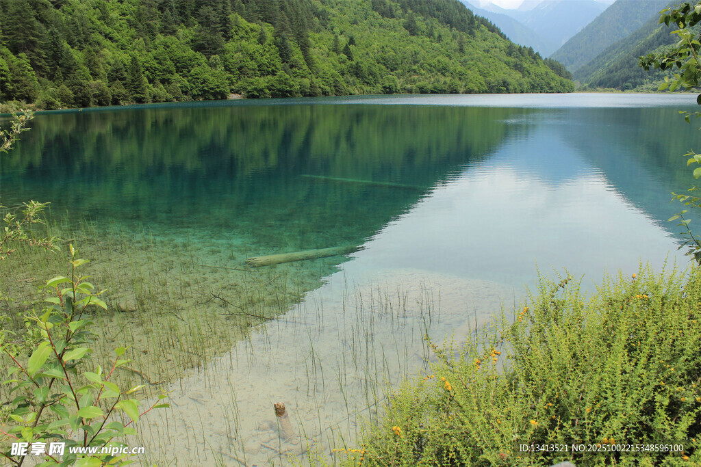 清澈湖畔美景