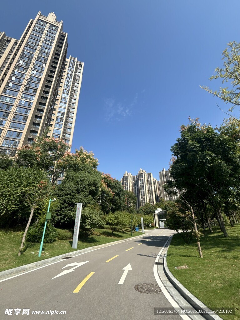 城市宽阔道路旁的高楼景观
