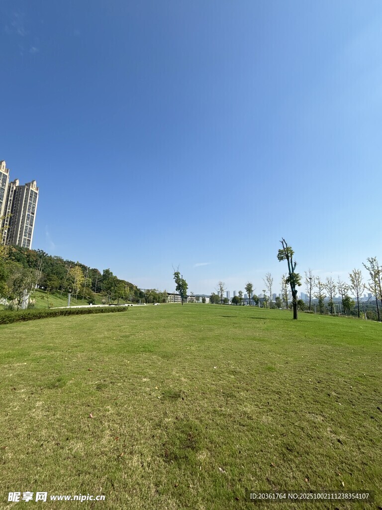 城市中的开阔绿地景观