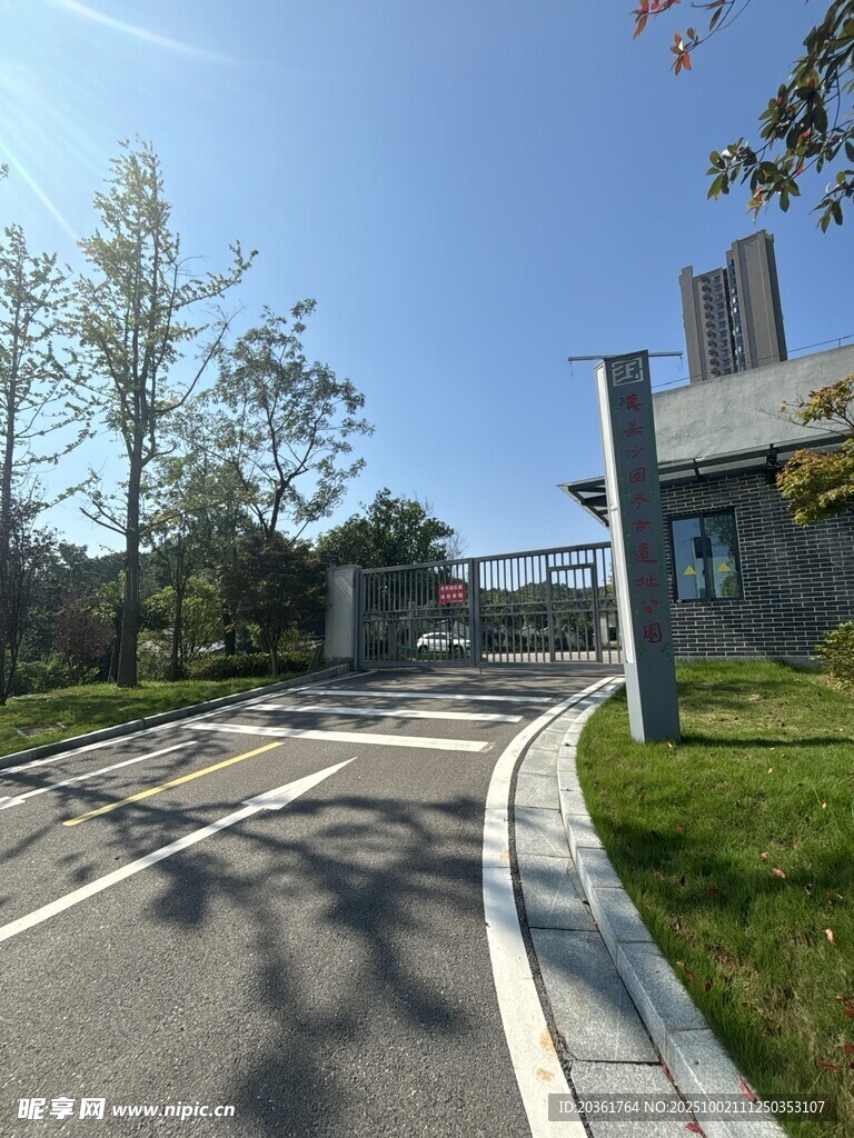 校园道路风景