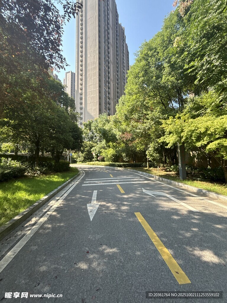 城市林荫道路景观