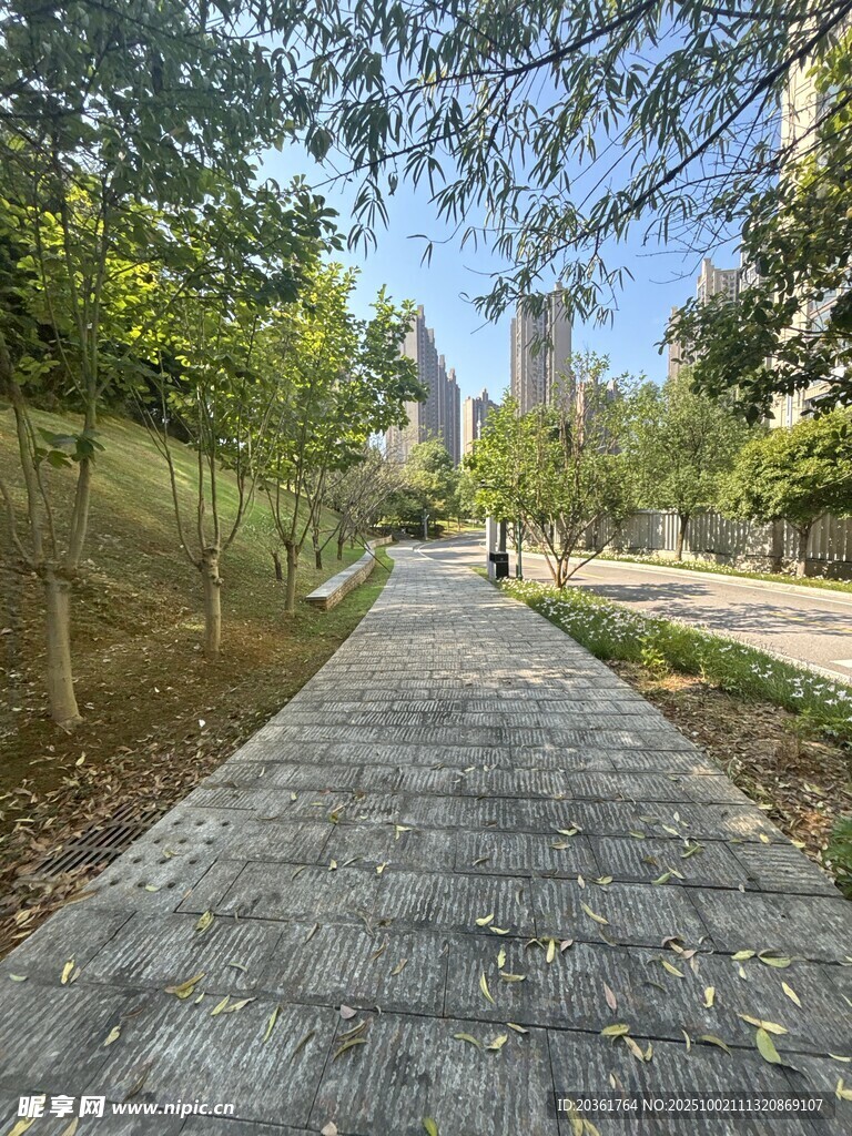 城市林间幽静的步行小道