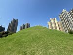 城市中绿意盎然的草坡