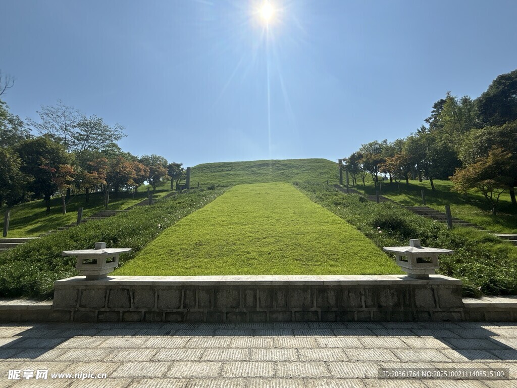 阳光照耀下的绿意盎然草坪