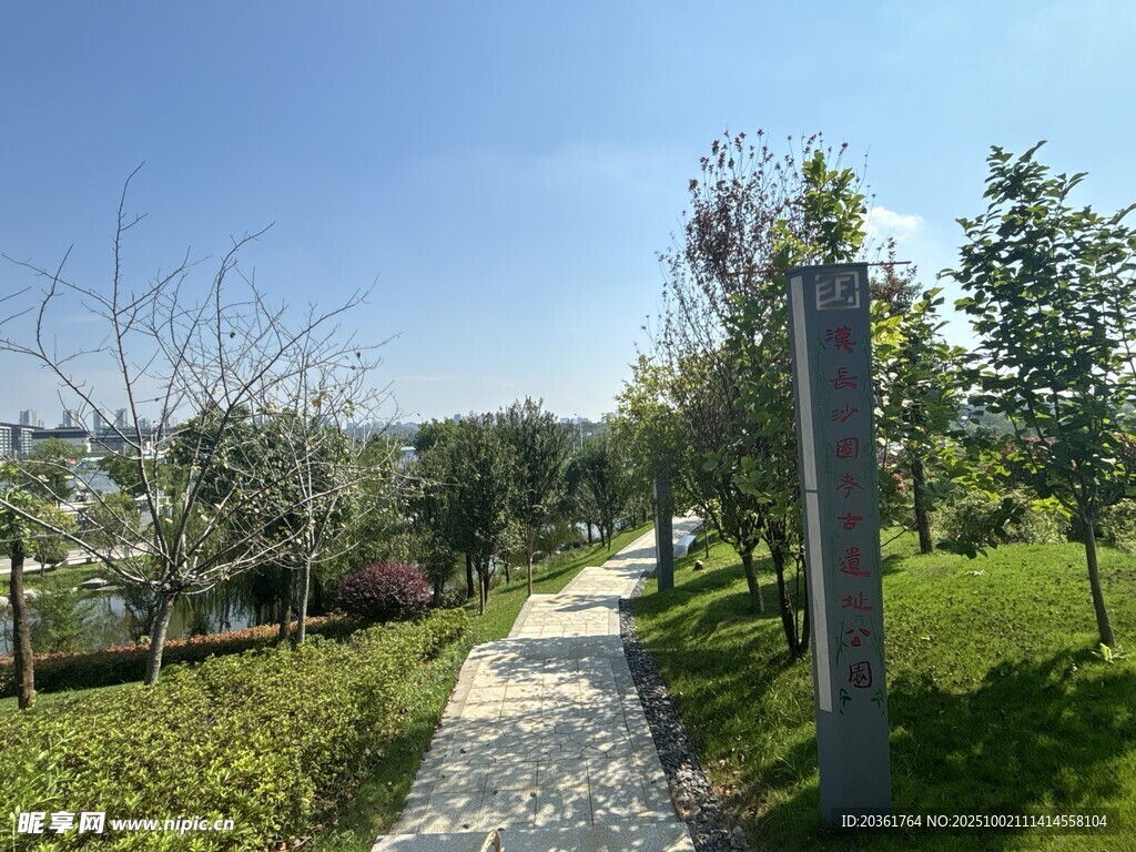 户外林荫小径风景