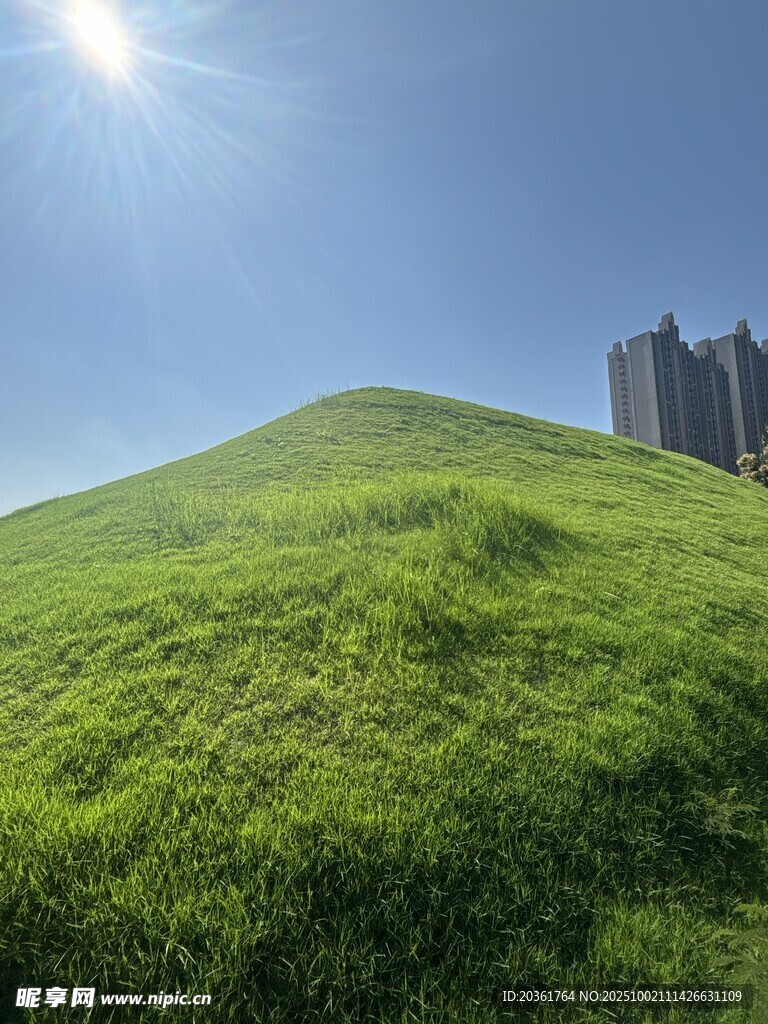 阳光下的翠绿山坡