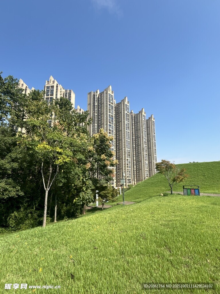 绿草如茵旁的现代高楼