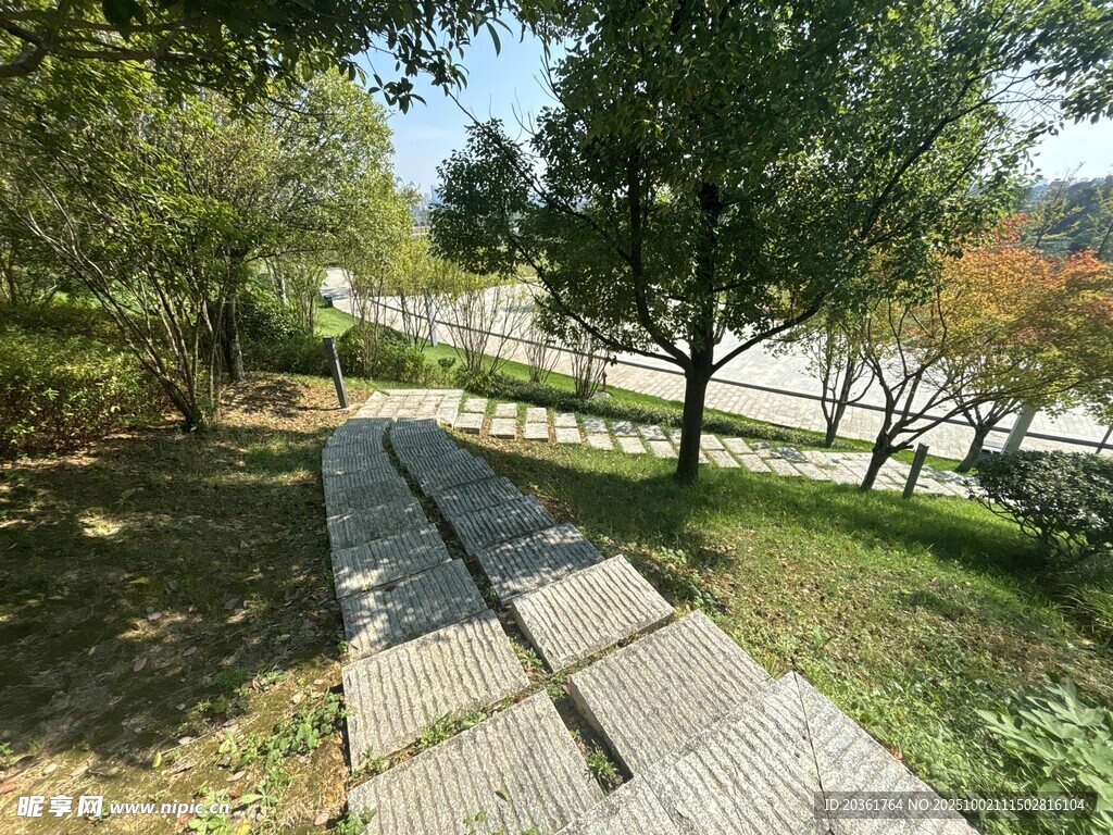 林间石板小径