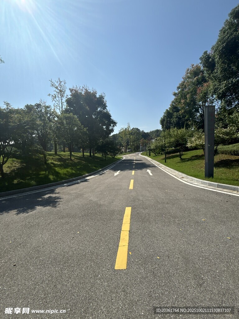 宽阔林荫道路风景
