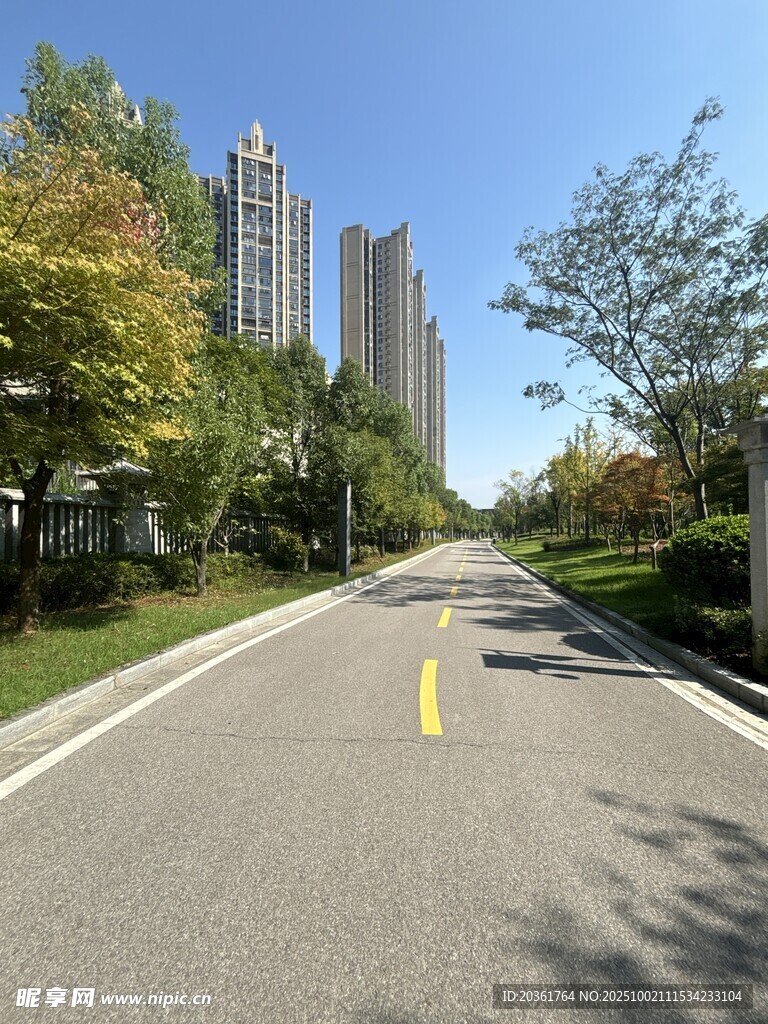 城市林荫大道风景