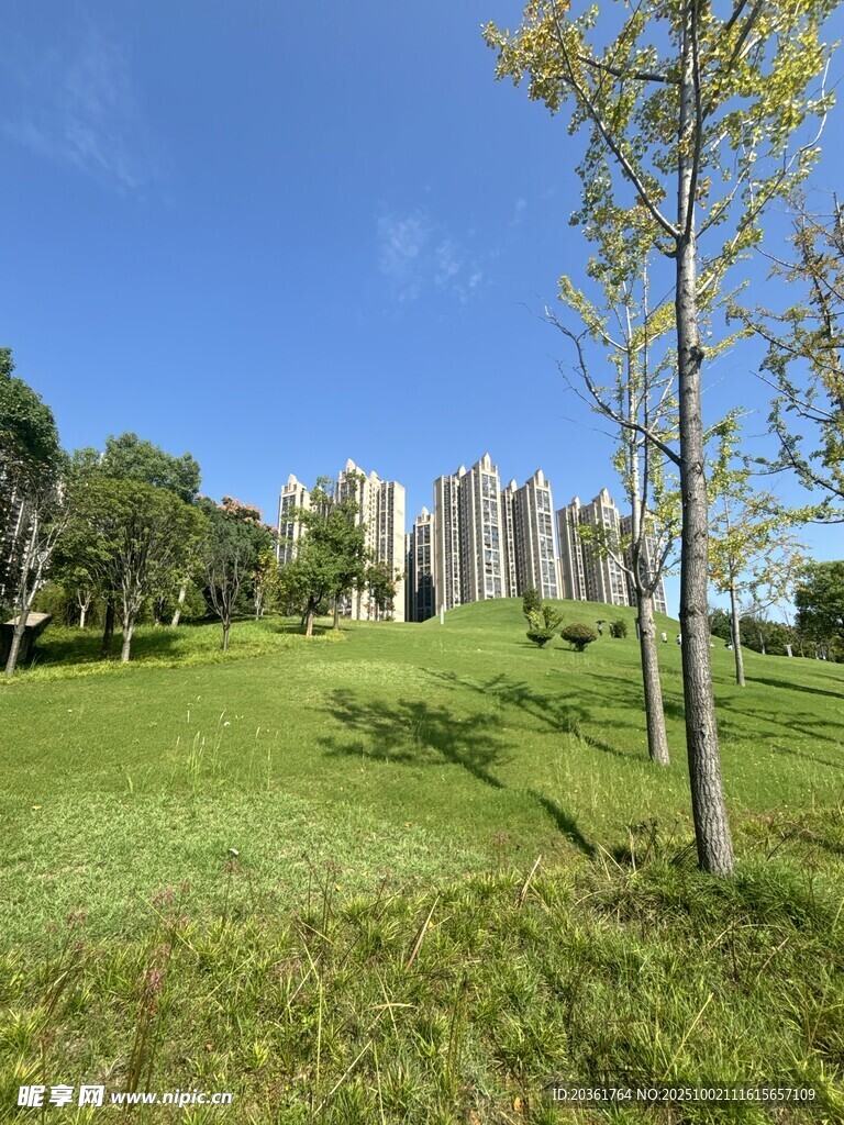 城市中的绿意公园景观