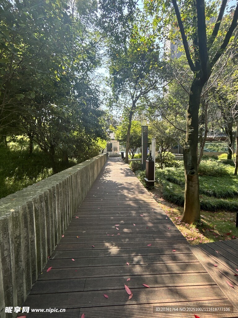 林间木栈道
